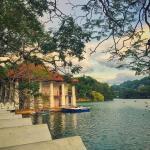 Read more about the article Kandy Tour: Dive into Sri Lanka’s Enchanting Cultural Gem