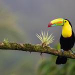 Read more about the article Unforgettable Costa Rica And Panama 2 Week Itinerary and Guide
