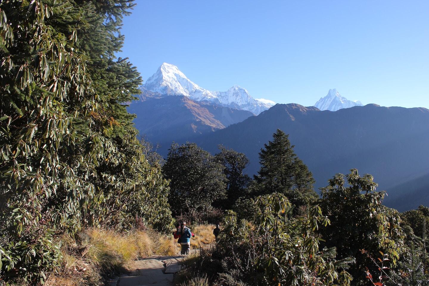 You are currently viewing Experience the Langtang Trek Itinerary 5 Days – Your Adventure Awaits